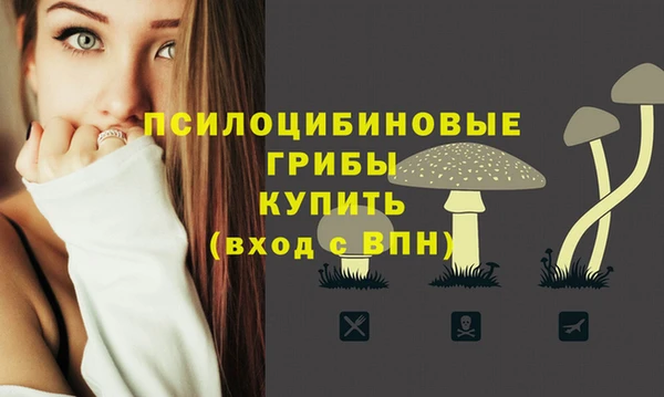 mdpv Кулебаки