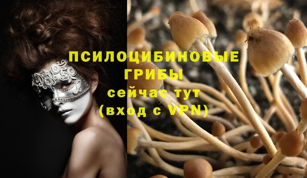 mdpv Кулебаки