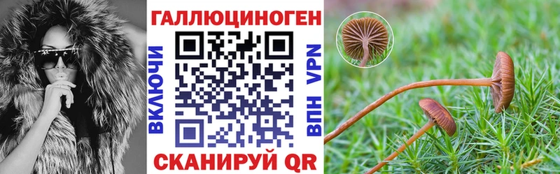 Псилоцибиновые грибы Magic Shrooms  omg зеркало  даркнет какой сайт  купить закладку  Приволжский 